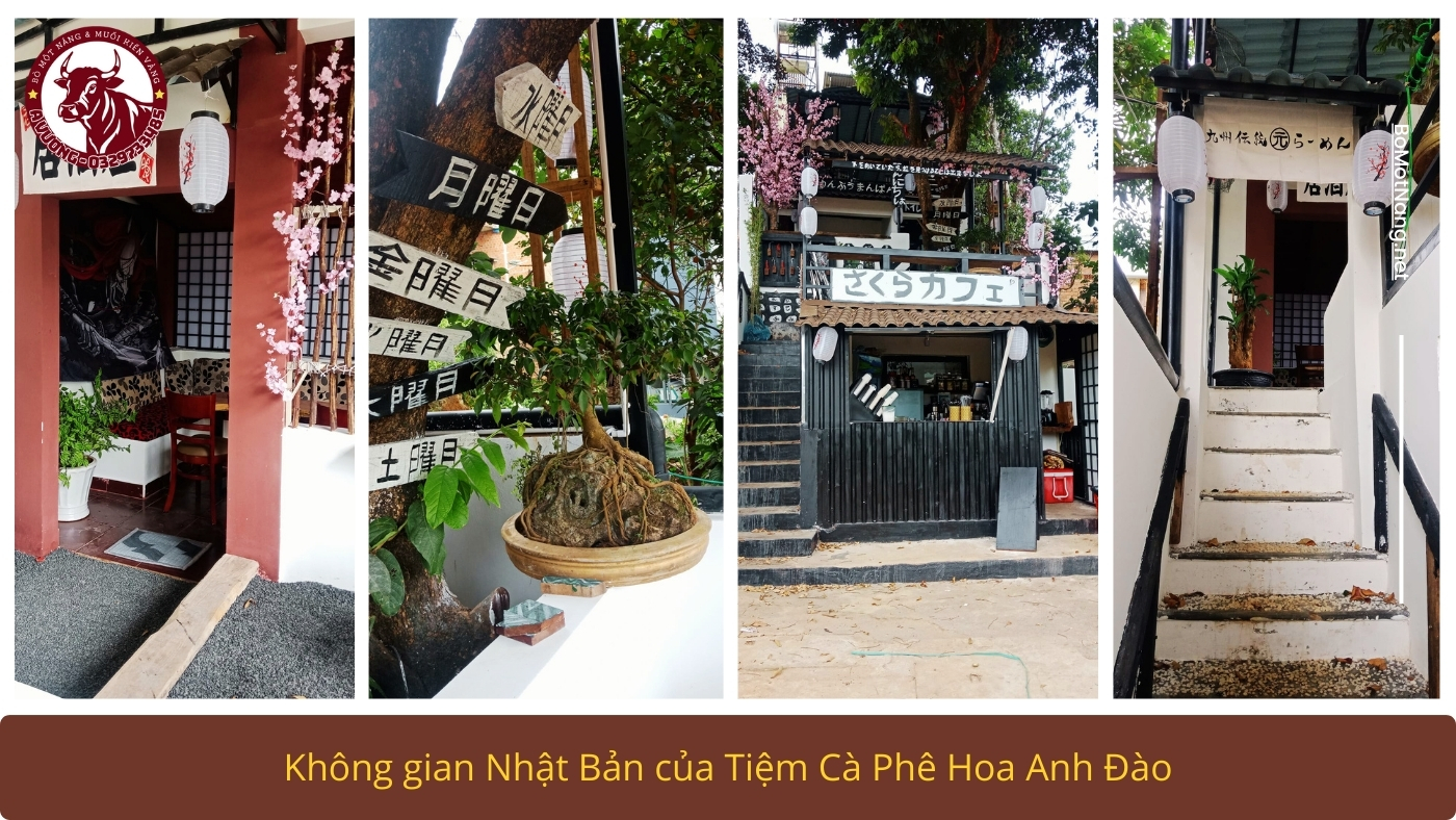 Tiem Ca Phe Hoa Anh Dao